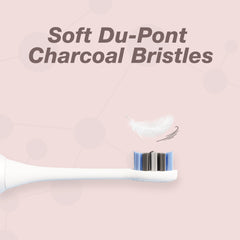 Pro Series Brush Head