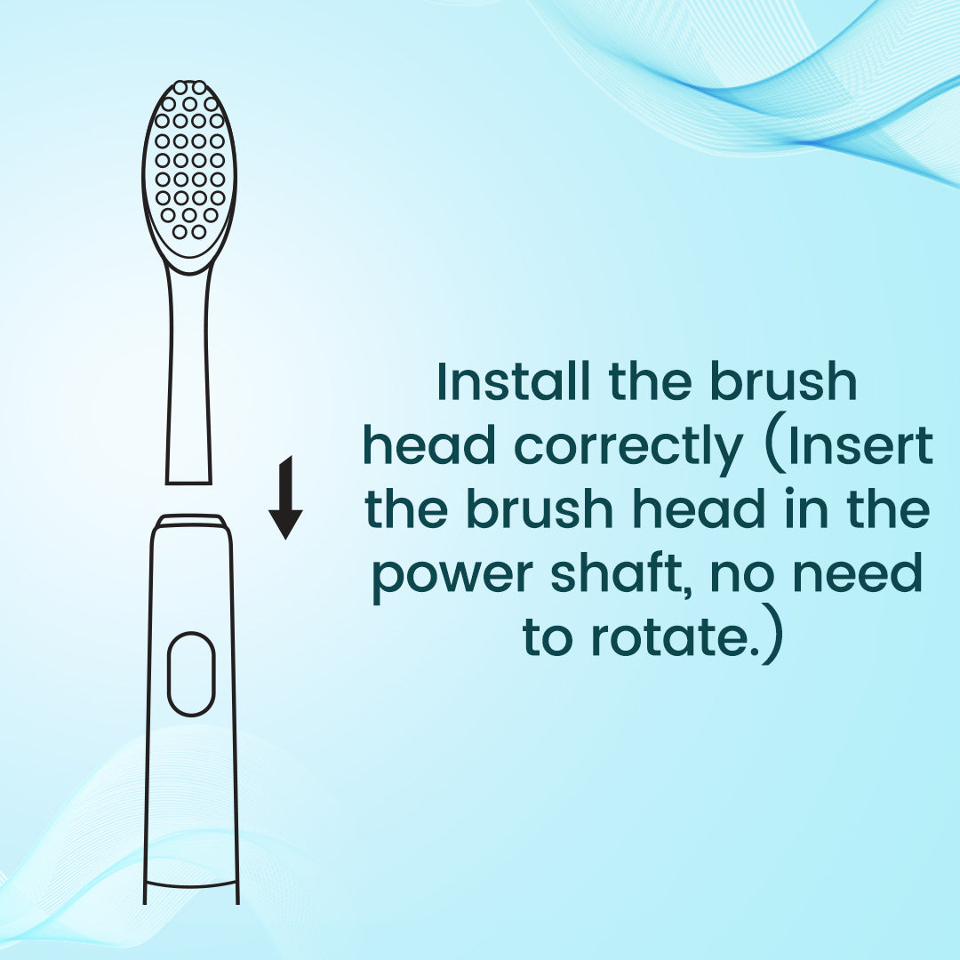 Neo Series Brush Head